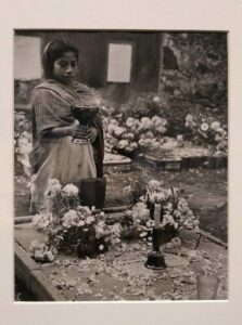 Munal dia de muertos - メキシコのプライベートツアー | MCT