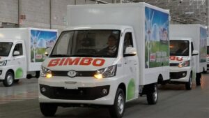 Bimbo-eléctrico-640x360 - メキシコのプライベートツアー | MCT