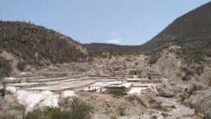 Zapotitlan - メキシコのプライベートツアー | MCT