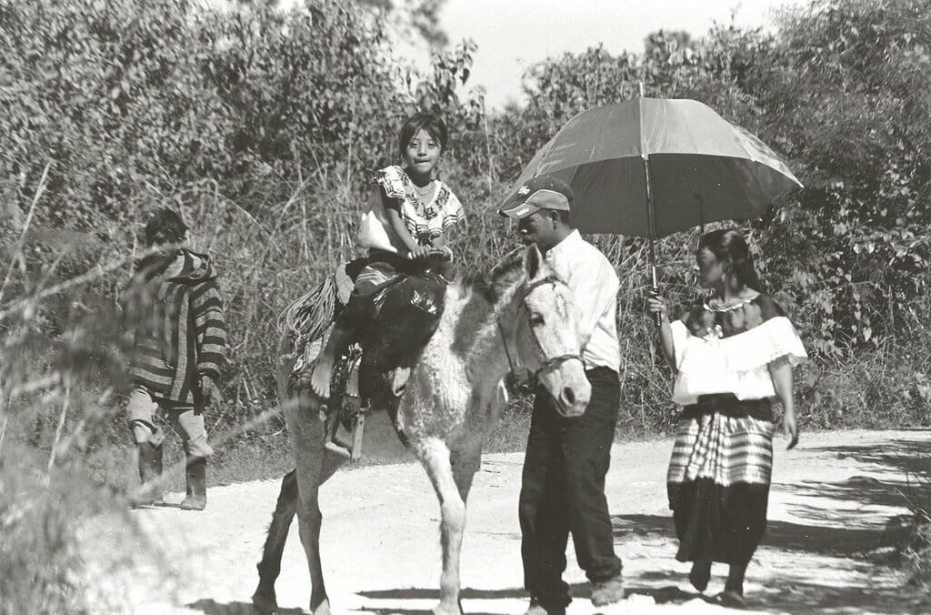 Sitala3 - メキシコのプライベートツアー | MCT