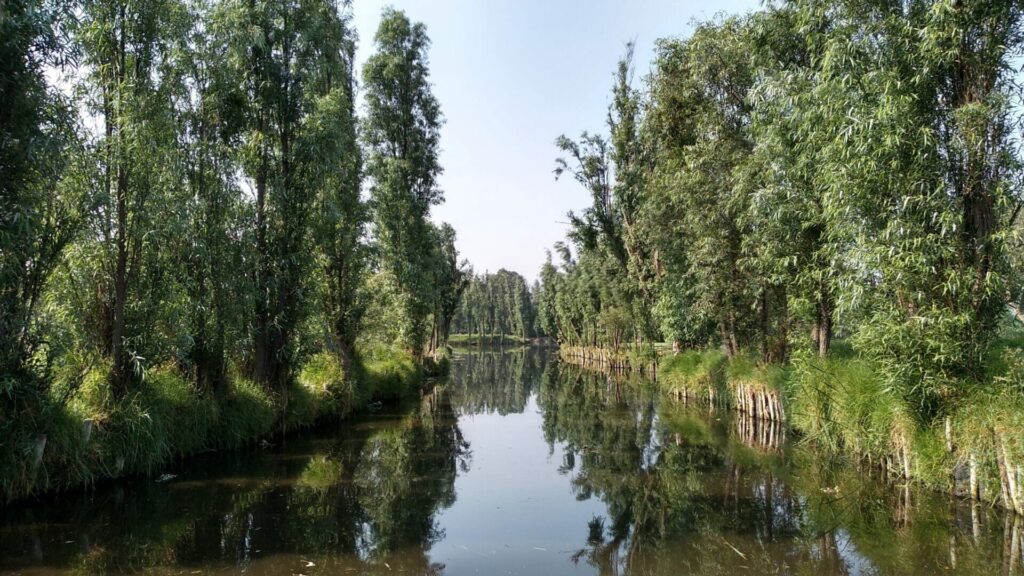 Chinampa4 - メキシコのプライベートツアー | MCT メキシコシティのチナンパ地帯