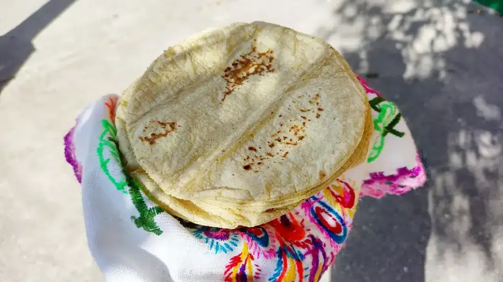 tortilla - メキシコのプライベートツアー | MCT トウモロコシの生地トルティーヤが布に包まれている