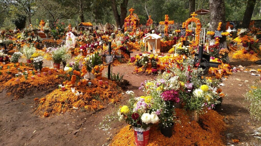 diademuertos5 - メキシコのプライベートツアー | MCT