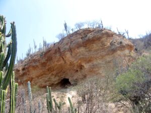 Cueva Tehuacan - メキシコのプライベートツアー | MCT テワカン