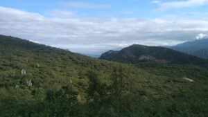 Tehuacan Cuicatlan Santuario Guacamaya - メキシコのプライベートツアー | MCT メキシコ,観光,ツアー,ガイド,自然