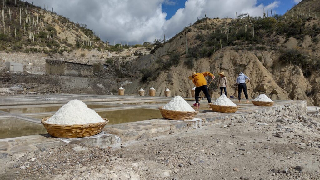 メキシコ,観光,ツアー,ガイド,塩,サポティトラン