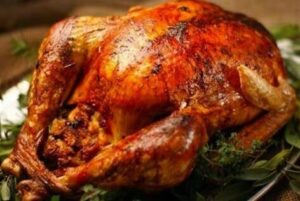 Pavo - メキシコのプライベートツアー | MCT