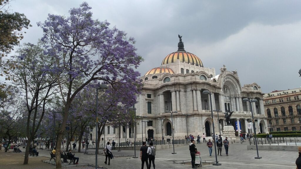 Bellasartes - メキシコのプライベートツアー | MCT メキシコのシティ中心部の建造物と紫色の花がきれい
