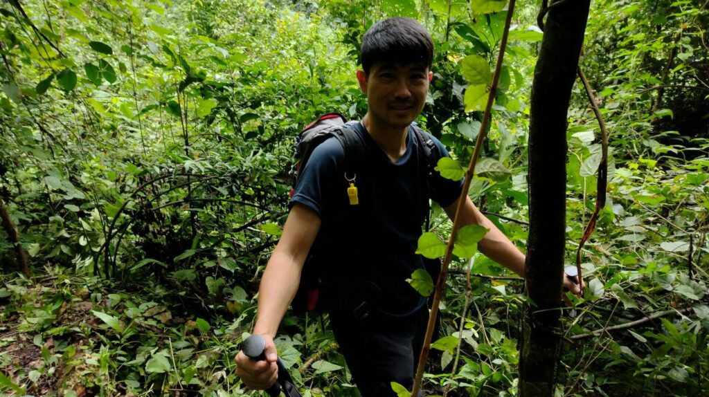 Lacandon caminata - メキシコのプライベートツアー | MCT マヤのラカンドンのジャングル