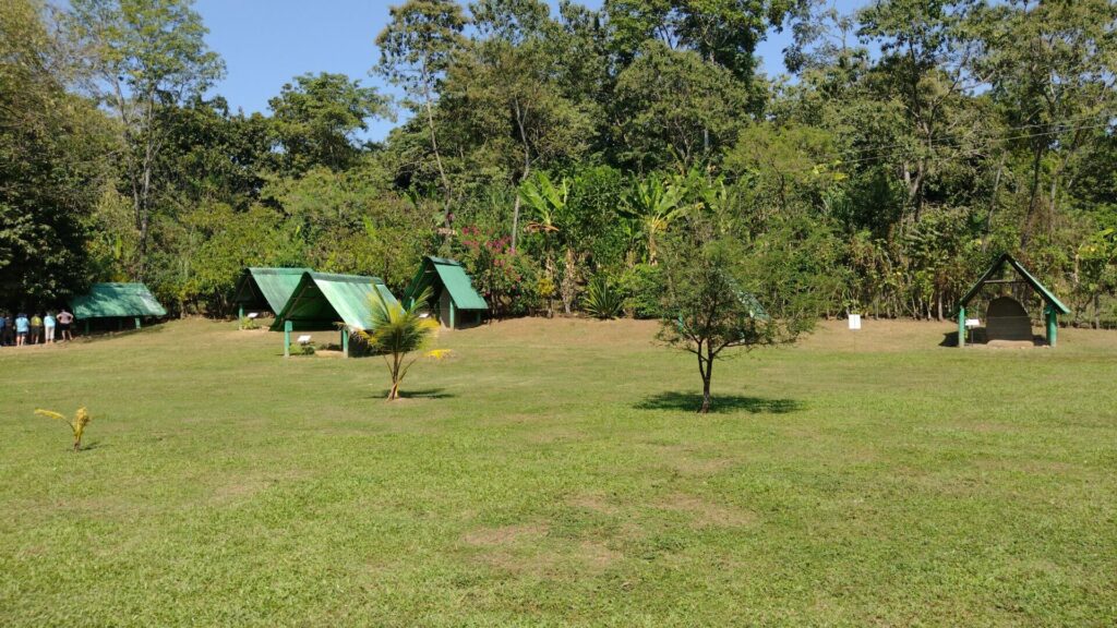 Izapa estelas - メキシコのプライベートツアー | MCT メキシコのイサパ遺跡