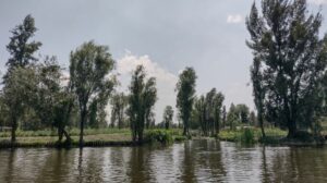 Chinampa Apr2022 - メキシコのプライベートツアー | MCT ソチミルコのチナンパ