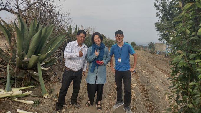 Pulque Apr2022 - メキシコのプライベートツアー | MCT