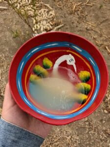 Pulque Eri san - メキシコのプライベートツアー | MCT メキシコの伝統酒プルケ