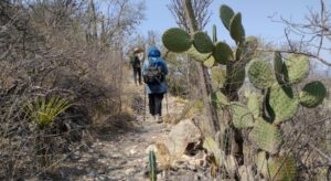 Saboten Eri san - メキシコのプライベートツアー | MCT メキシコのサボテン渓谷テワカンークィカトゥラン渓谷ハイキング