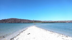 IMG_20210510_172725964 - メキシコのプライベートツアー | MCT