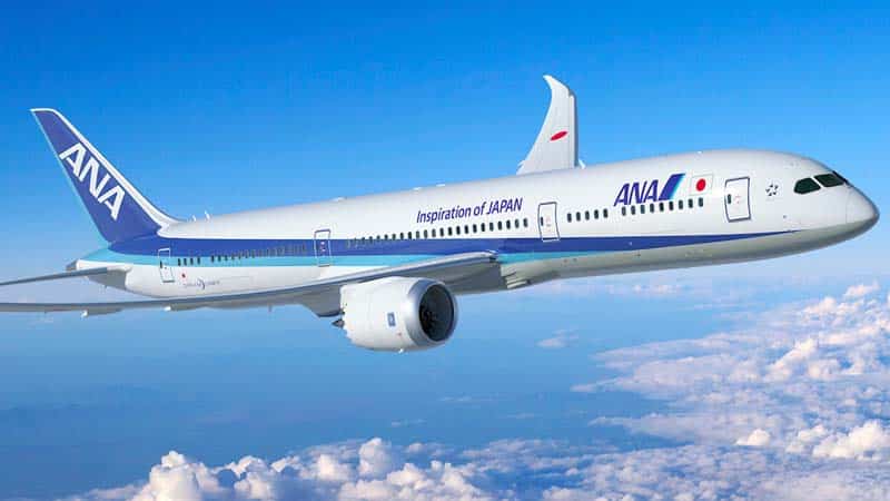 ANA - メキシコのプライベートツアー | MCT ANAと書かれた白と青の飛行機