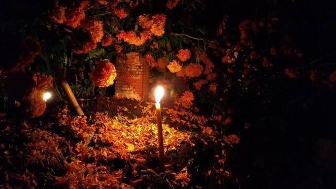 Dia de muerto Santa Fe - メキシコのプライベートツアー | MCT