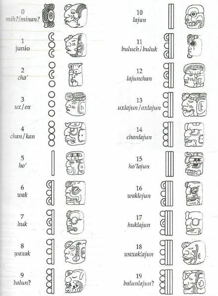 Numeros maya - メキシコツアー・プライベート周遊|MCT