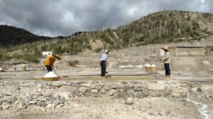 メキシコの塩田作業体験
