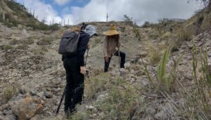 メキシコのサボテン渓谷テワカンークィカトゥラン渓谷でのハイキング