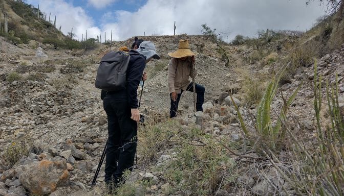 Zapotitlan Senderismo - メキシコのプライベートツアー | MCT メキシコのテワカン渓谷