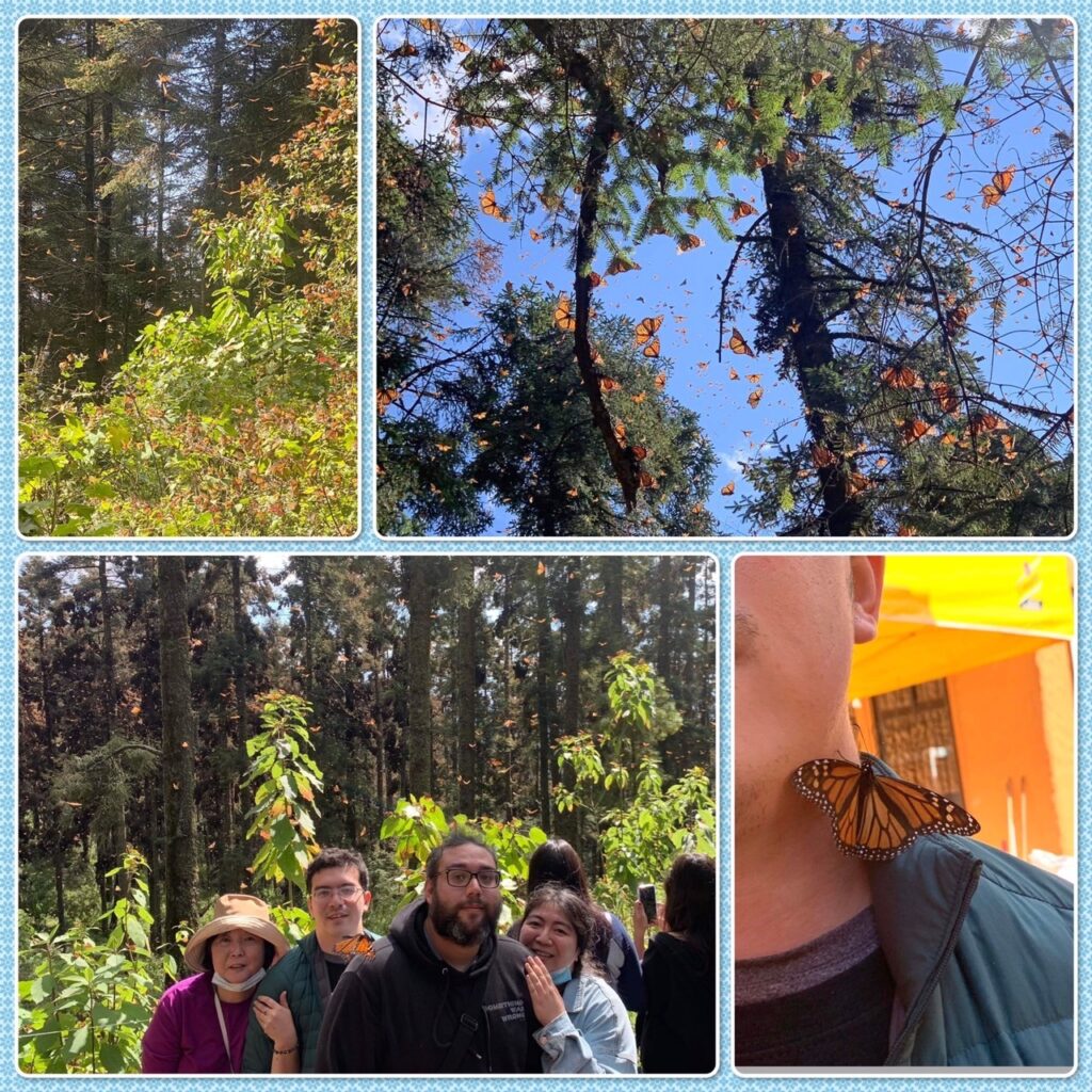 1673839097487 - メキシコのプライベートツアー | MCT