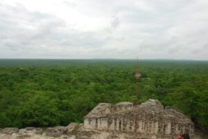 Calakmul Norte - メキシコのプライベートツアー | MCT メキシコの世界複合遺産にあるマヤ遺跡とその密林