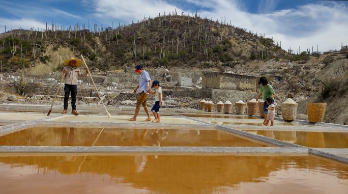 メキシコの塩田作業