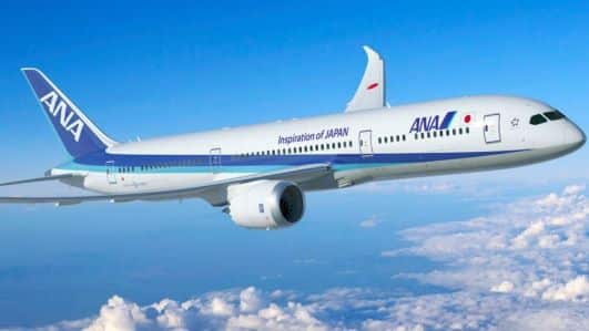 ANA - メキシコのプライベートツアー | MCT 全日空メキシコ便