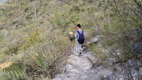 Saboten Ooi sama - メキシコのプライベートツアー | MCT