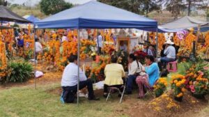 Dia de muertos Mich4 - メキシコのプライベートツアー | MCT メキシコの死者の日の墓地