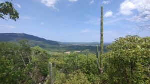 Tsama oaxaca - メキシコのプライベートツアー | MCT メキシコのオアハカ州にある遺跡