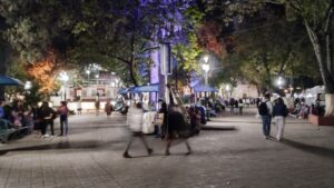 Tsama sancristobal - メキシコのプライベートツアー | MCT メキシコのチアパス州サンクリストバル