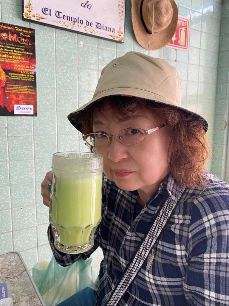 Kishimotosama Pulque - メキシコのプライベートツアー | MCT メキシコの伝統酒プルケバー