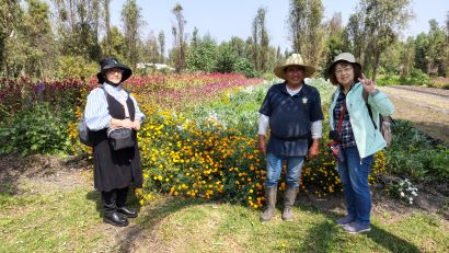 IMG_20241028_113609508_HDR - メキシコのプライベートツアー | MCT メキシコの伝統農法チナンパ