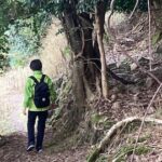 Kawaguchisama - メキシコのプライベートツアー | MCT