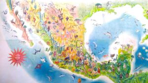 Map mexico - メキシコのプライベートツアー | MCT メキシコの多様性