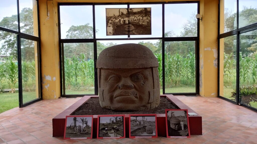 Treszapotes Colosal - メキシコのプライベートツアー | MCT メキシコのベラクルスにあるオルメカ遺跡トレスサポテスにある人頭像