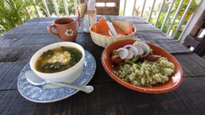 Sopa chipilin y coleto chiapas - メキシコのプライベートツアー | MCT チアパス料理チピリンスープ