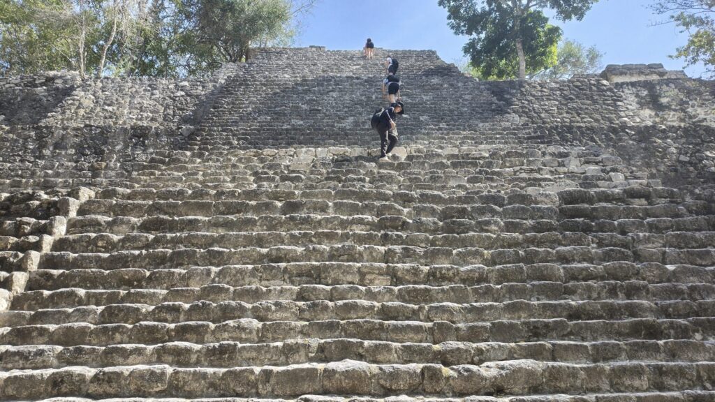 TYsama 5 Calakmul - メキシコのプライベートツアー | MCT マヤ文明のカラクムル遺跡