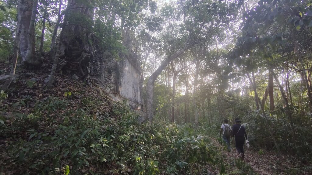 密林の中にあるマヤ遺跡