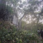 密林の中にあるマヤ文明のリオベク遺跡