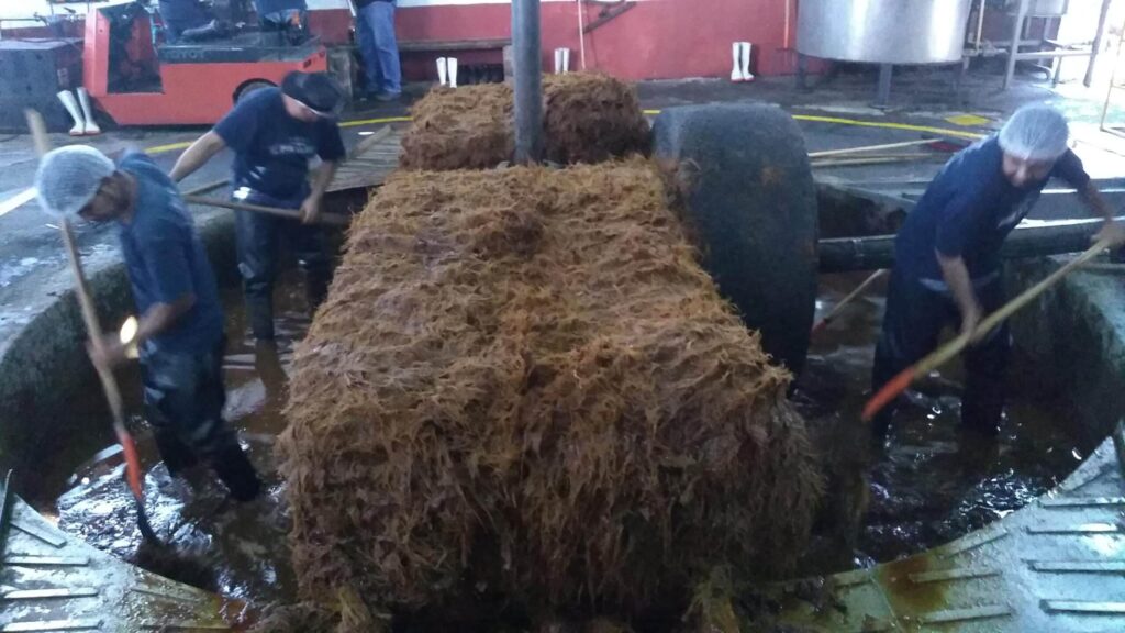 テキーラ工場内