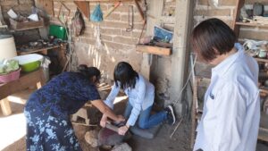 Oaxaca tapete - メキシコのプライベートツアー | MCT オアハカの家庭でのラグ作り体験の様子