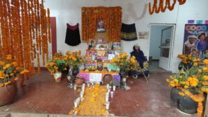 Coco casa - メキシコのプライベートツアー | MCT 映画リメンバーミーのココの家