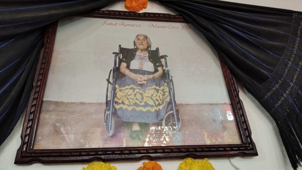 Coco - メキシコのプライベートツアー | MCT 映画リメンバーミーのココ