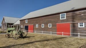 チワワのメノナイトの歴史