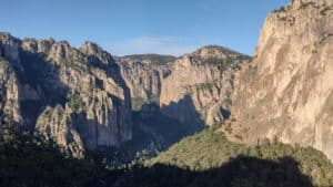 チワワの険しい渓谷