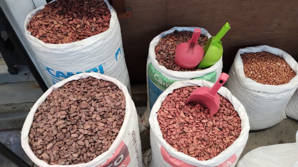 メキシコのカカオ