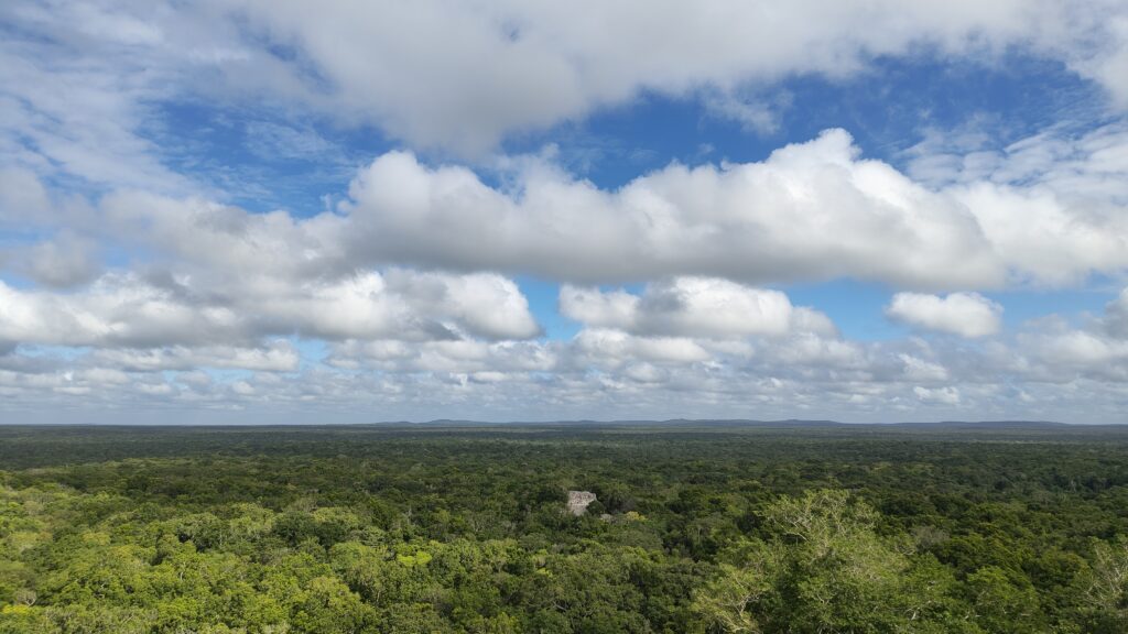 マヤ文明のカラクムル遺跡と原生林